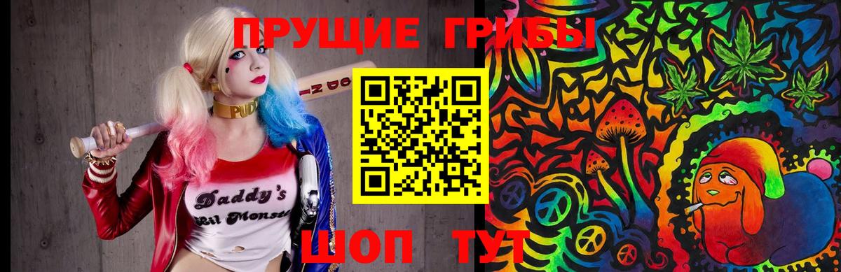 Тара  Псилоцибиновые грибы MAGIC MUSHROOMS  Псилоцибиновые грибы мухоморы  Вход с VPN 