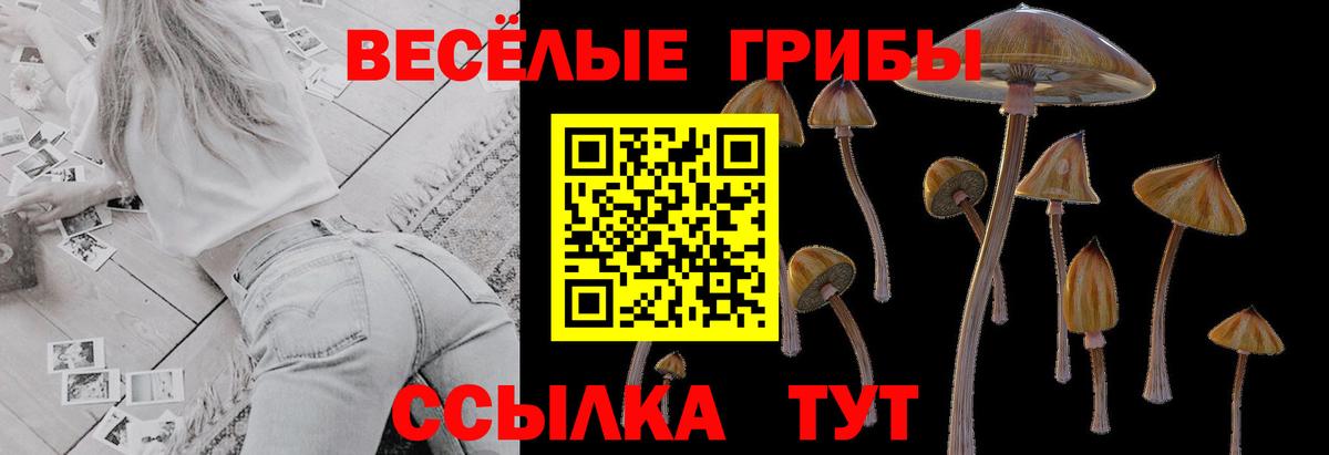 Галлюциногенные грибы мухоморы Тара